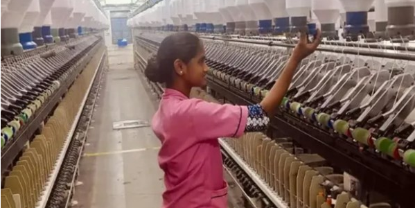 大松绑！出口印度利好！！